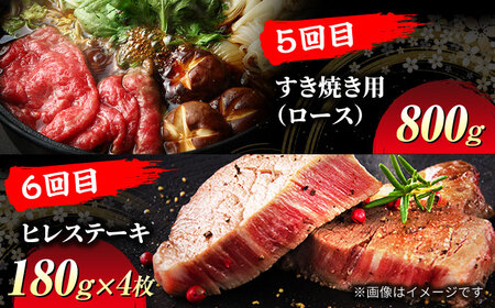 【6回定期便】飛騨牛 贅沢定期便コース【マルゴー】和牛 サーロインステーキ 焼肉[MBE037]