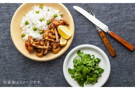 【美濃焼】DINING プレートセット ココナッツ【ZERO JAPAN】 食器 うつわ カレー皿 パスタ皿 ケーキ皿  皿 ワンプレート ランチ プレート 美濃焼 おしゃれ 食器セット お皿セット 陶器 パスタ サラダ 食器 国産 送料無料 [MBR082]