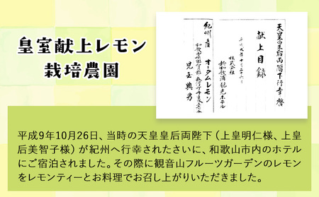 ノーワックス 観音山レモン 2kg