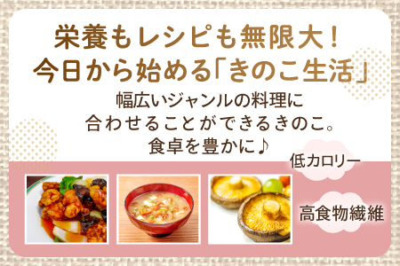 オーガニックきのこバラエティセット約1.5kg（5種13パック入）