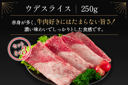 ＜肉質等級4等級＞宮崎牛 4種 食べ比べ スライス セット（各250g×4パック）合計1kg 国産 肉 牛肉 ご飯 おかず【D118-2510-90】