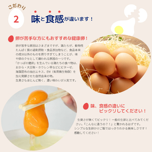かっぱの健卵 30個入り【大熊養鶏場】たまご 卵 玉子 タマゴ 生卵 こだわり 卵かけご飯 TKG 国産 お取り寄せ 北海道 比布町 ぴっぷ 1006-003