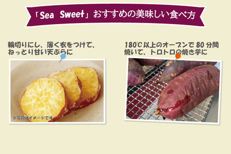  【先行予約】 大洗産 さつまいも 紅はるか 2.5kg （8本前後） 「Sea Sweet」 長期熟成 茨城県産 サツマイモ 土付き 生芋 芋 さつま芋 薩摩芋 甘藷 べにはるか_CF002