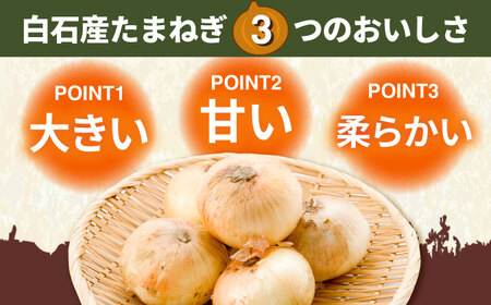 【2026年5月中旬以降発送】白石産たまねぎ 10kg / たまねぎ 玉ねぎ [IAK011]