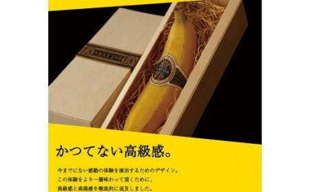 国産バナナNEXT716「6本」レギュラーサイズ【国産 バナナ 無農薬