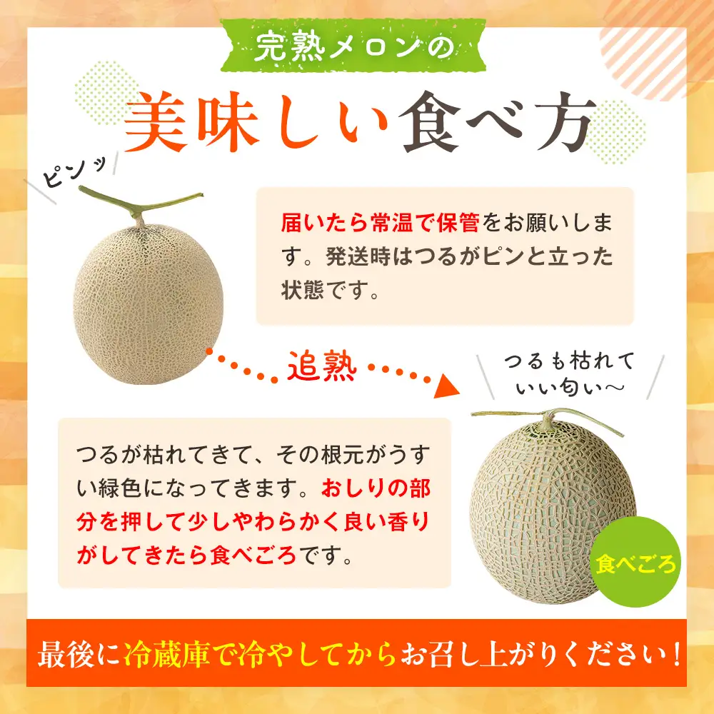 【R8年収穫分】【数量限定】さのさん家のメロン（L玉以上）１玉 湧き水栽培 さの農場 | 北海道津別町