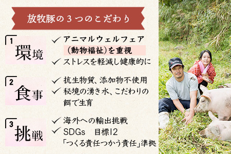 宮崎県産【訳あり】THE HOUBOQ 魅力の満足セット 豚肉 スライス肉指定バージョン 合計2.5kg[宮崎 椎葉村 豚肉 豚 肉 ぶた にく ぶたにく おにく お肉 訳あり スライス スライス肉 美味い 日本三大秘境 美味しい 逸品]【HB-71】