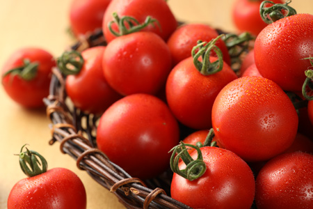 先行予約 フルーツトマト  2kg入り トマト【45-6】