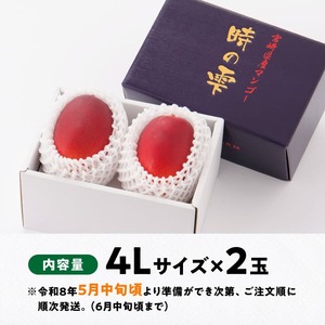 マンゴー 【令和8年発送】宮崎県産完熟マンゴー「時の雫」4L×2玉 フルーツ マンゴー