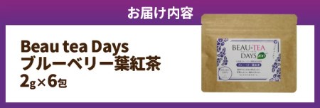 Beau tea Days ブルーベリー葉 紅茶　N048-YZA096