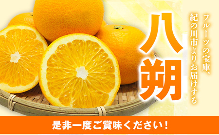 【先行予約】八朔 はっさく ネット入 約15kg 3L-Lサイズ JAわかやま 紀の里地域本部 《2027年1月上旬-3月末頃出荷》 和歌山県 紀の川市 果物 フルーツ 柑橘 はっさく