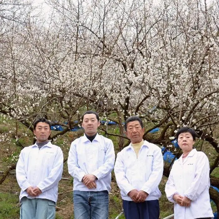 なかやまさんちの梅干（1.1kg×1箱）かつお風味（はちみつ入）塩分5％【訳あり】【つぶれ梅】