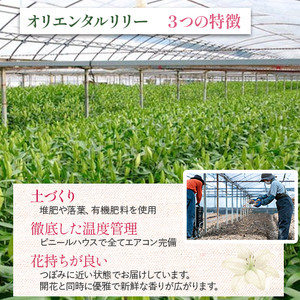 日頃の感謝を「花束」で、オリエンタルリリー【秀品3本】 誕生日 植物 フラワー ギフト プレゼント／Osy-01