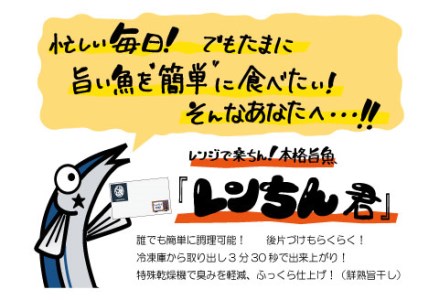 【6枚セット】レンジで楽ちん！本格旨魚！レンちん君！ ふるさと納税 魚 F4F-4296