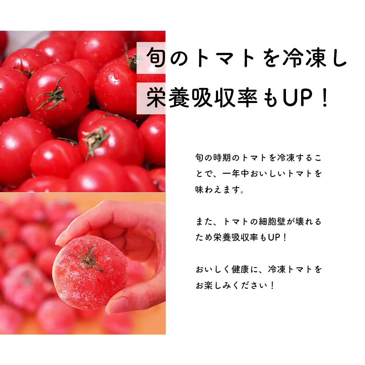 訳あり 冷凍トマト フルーツトマト 冷凍 約3kg（65個前後）　大容量 業務用 保存用 とまと