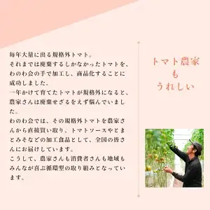 【タイガーマスクチャリティギフト】トマトソース おうちごはんセット フルーツトマト ソース 乾燥野菜 ドライベジタブル 支援 基金
