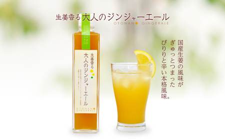 スパイスドリンクセットレギュラー 飲料類 果汁飲料 ジュース 加工食品 