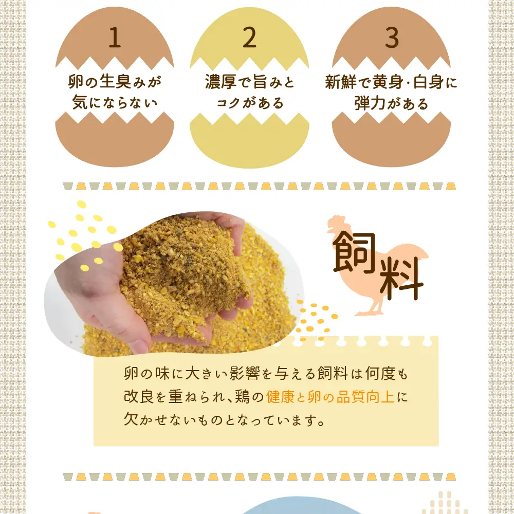 卵 50個 いではのもみじ 紅 ブランド卵 新鮮たまご 卵