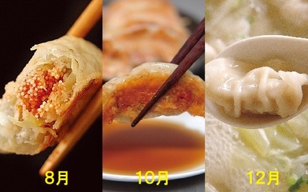 ぎょうざの山八★餃子定期便（年6回偶数月）【随時開始】[H7002]