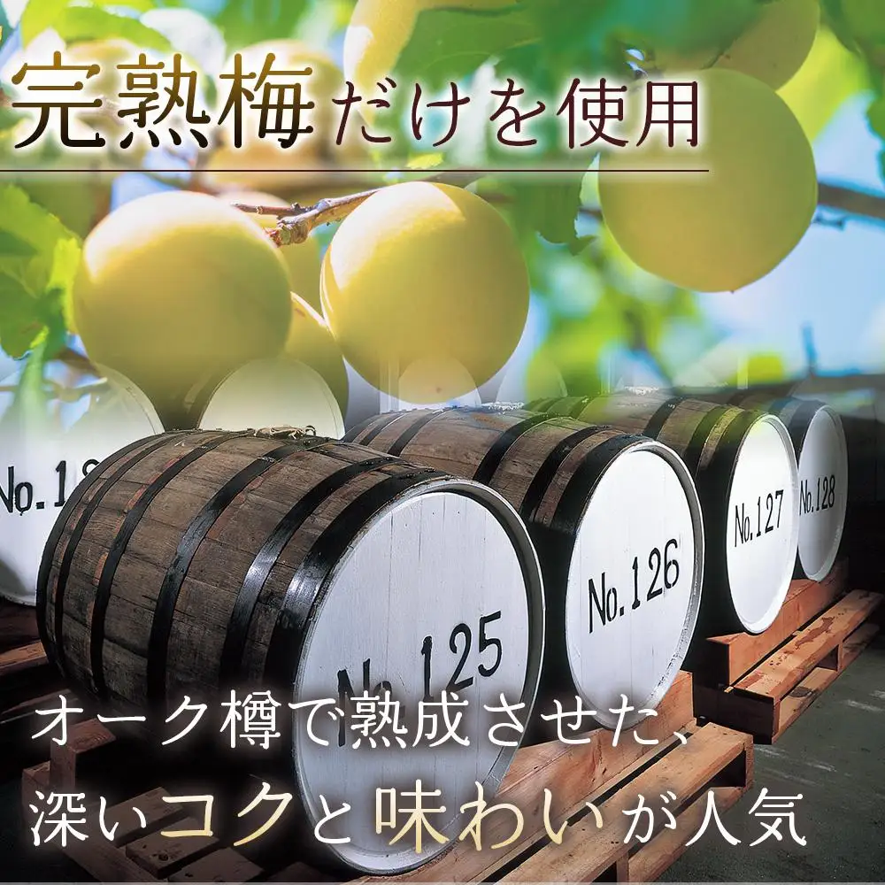 紀州南高完熟梅酒 樽【MG71】