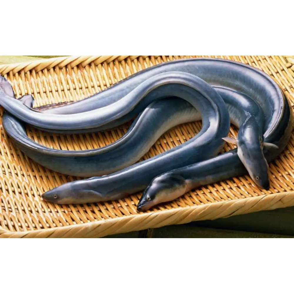 浦和のうなぎを育てる会　お食事券　【11100-0128】