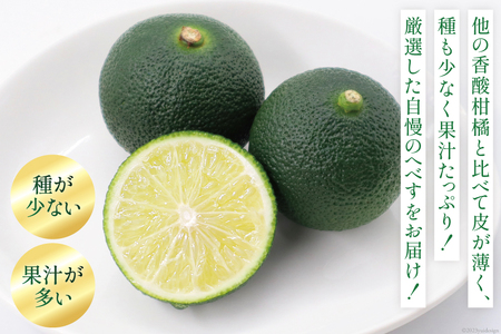 【期間限定発送】訳あり 旬を先取り 黒木へべすファーム自慢の《ハウス》 へべす 2kg [黒木へべすファーム 宮崎県 日向市 452060743]