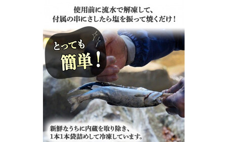 【予約受付】子どもが喜ぶバーベキュー！清流育ちの四万十あめご （約700g）【BBQ専用竹串付き】 おつまみ バーベキュー BBQ アウトドア アメゴ アマゴ  魚 魚介 川魚 塩焼き 小分け あまご あめご 冷凍 8～10匹 個包装 ／Eay-01 ﾊﾞｰﾍﾞｷｭｰ 