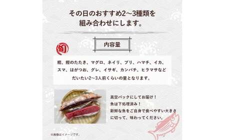 旬な海の幸をお届け！大将のおまかせ刺身2～3種類盛！ 刺し身 鮮魚 海鮮 お魚 盛り合わせ 冷蔵  即日発送 ／Efs-01