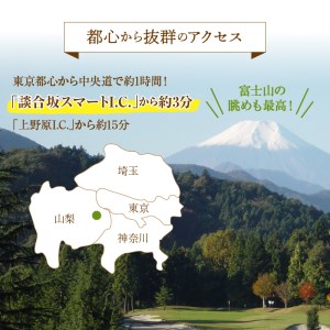 ゴルフ ゴルフ場 チケット プレー券 利用券 ゴルフ用 サンメンバーズカントリークラブ 平日 セルフプレー 1Rプレー券 18ホール 南面斜面 1名様 大自然 休暇 趣味 スポーツ 首都圏 隣県 プレゼント 父 祖父 贈り物 贈答 送料無料 山梨県 上野原市
