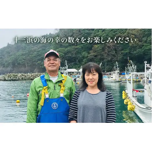 宮城県産 マルイチ西條水産の 塩蔵わかめ 1.3kg(130g×10袋) 石巻市