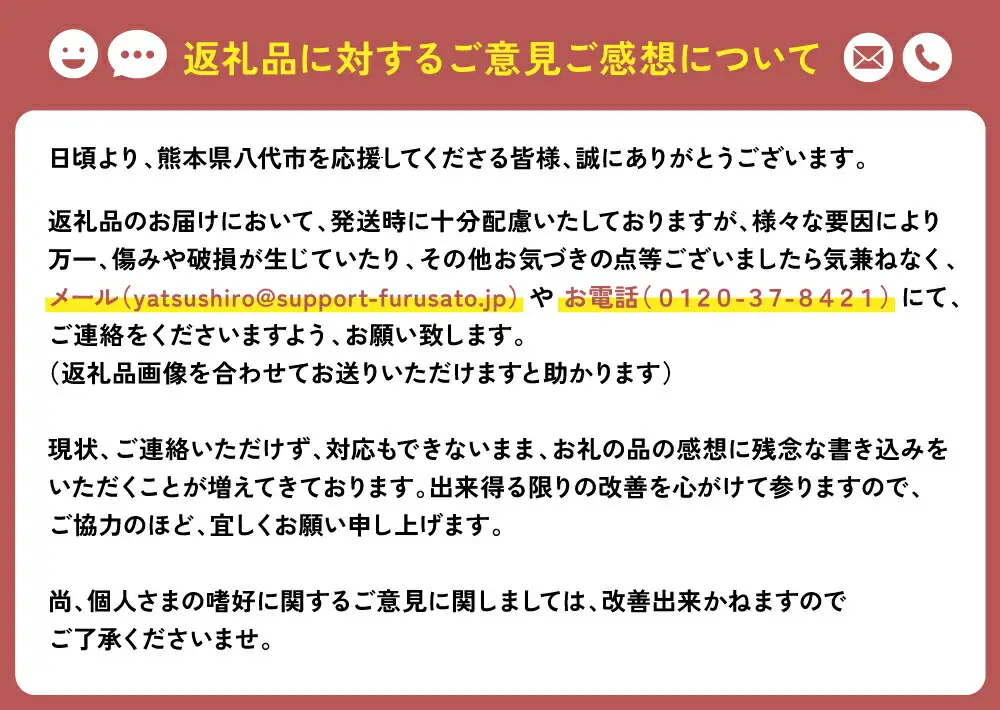 八代市産 レモン使用 レモンケーキ 10個 ボンブ 茶菓子 ケーキ スイーツ 洋菓子