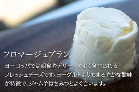 チーズ セット 美瑛放牧酪農場 チーズフォンデュ 北海道 チーズ詰め合わせ  [018-44]