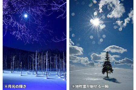 写真家　阿部俊一　額付き写真[036-20]