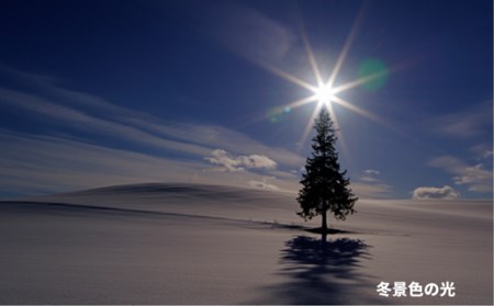 写真家　阿部俊一　額付き写真[120-06]