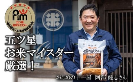 令和7年産米【五ツ星お米マイスター厳選】新之助 無洗米 5kg[Y0565]