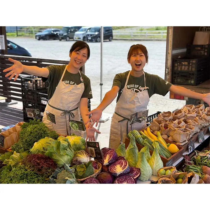 季節の彩り野菜セットMサイズ(9～11品) 野菜 詰め合わせ 新鮮 産地直送 北海道 江別市 EB8-0154
