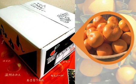 2026年秋よりお届け 田口早生みかん　約10kg 香川県産 フルーツ 果物類 柑橘類 