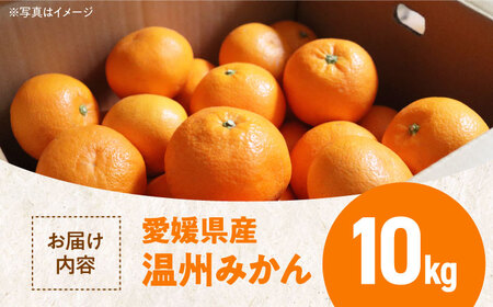 みかん 10kg みかん[AGBN016]