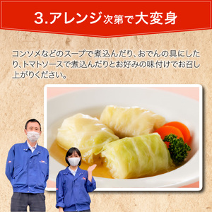 国産豚で作ったロールキャベツ(10袋セット)[022J04]かんたん惣菜 こだわり惣菜 和食惣菜 国産惣菜 お弁当惣菜