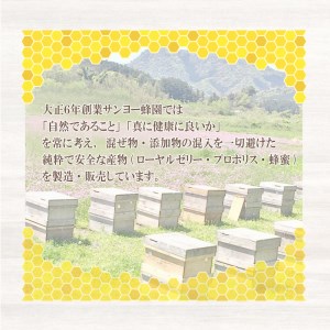 はちみつ 国産 蜂蜜漬け セット 570g( 95g×6種 ) 山口県産 下関 ES002-NT