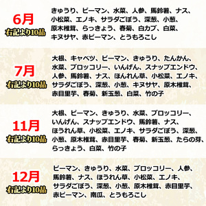 野菜 おまかせ便 (10品) 野菜 セット 詰め合わせ 詰合せ 旬 お野菜 有留青果  0123608a
