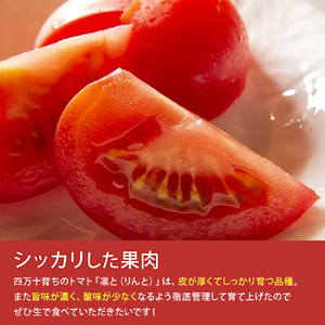 受付4か月で800件超え！四万十産トマト 「凛と」(4kg) ／ Fbg-A003 野菜 新鮮 完熟トマト