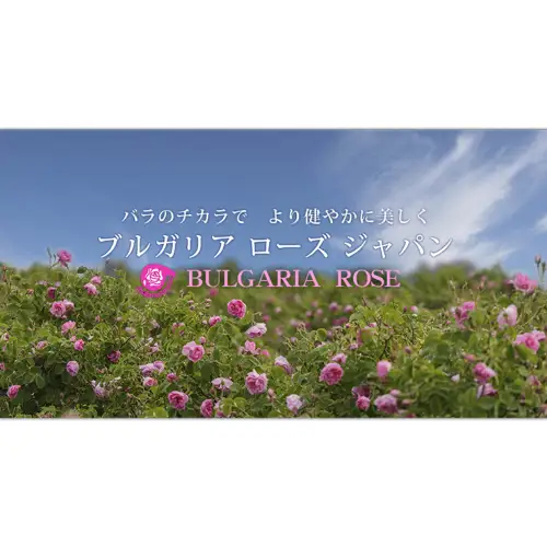 BULGARIA ROSE ダマスク ローズ ウォーター 80ml＋200ml ダマスクローズ ローズウォーター 母の日 美容 スキンケア コスメ 化粧水 バラ 保湿 肌 ふるさと納税 [BX016ya]
