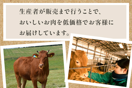 くまもとあか牛 切り落とし 約800g 【 くまもとあか牛 熊本県産あか牛 あか牛切り落とし 赤牛切り落とし 切り落とし 切落し 褐色和牛 和牛切落し 冷凍 あか牛 和牛 牛肉 赤身肉 お肉 切り落し 柔らかい 肉 国産 九州産 熊本県 多良木町 【美味しいあか牛を切落しで】こだわりのあか牛 あか牛切り落し 】 073-0408