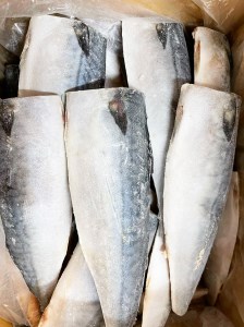 【ご家庭用】大容量！塩さばフィレ3.5kg　鯖 サバ 切身【uot749C】
