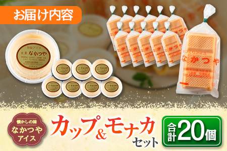 手作り アイス カップ ＆ モナカ セット 合計20個 スイーツ お菓子 食品 加工品 最中 なかつや 国産 おやつ デザート ご褒美 昔ながら 手作り 子供 乳製品 氷菓 詰め合わせ 食べ比べ お取り寄せ グルメ おすそ分け おすすめ 懐かしい 宮崎県 日南市 送料無料_CA34-23