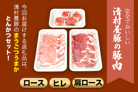 まうごつうまかとんかつセット 1kg 清村養豚《60日以内に出荷予定(土日祝除く)》 ロース ヒレ 肩ロース とんかつ かつ丼 みそかつ 熊本県 御船町