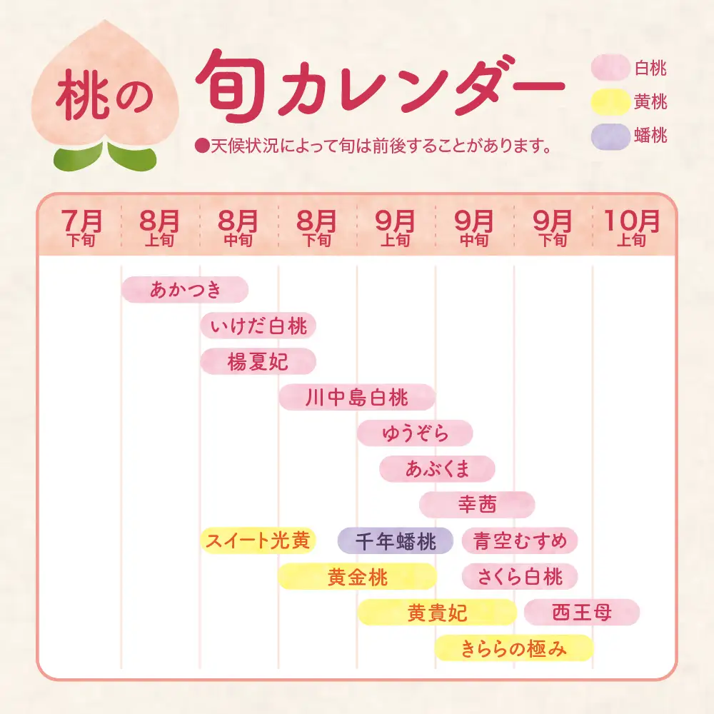 【2026年産先行予約】白桃(品種おまかせ)5kg 秀品 桃 白桃
