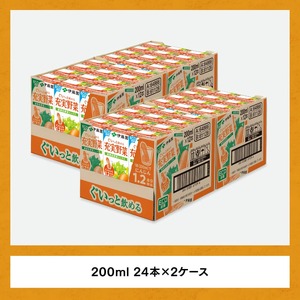 伊藤園 充実野菜 緑黄色野菜ミックス（紙パック）200ml×48本【飲料類 野菜ジュース 野菜 ジュース ミックスジュース 飲みもの】