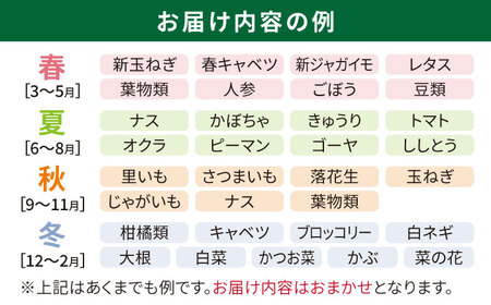 【 全6回 定期便 】 福岡県 糸島産 旬 の 野菜 盛り合わせ セット 《糸島》【株式会社フロンティア・アドバンス】 [AWC008]